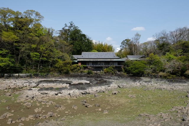 画像2: 池の底がむき出しだった楽寿園の小浜池　水位が過去最高更新　 長雨などの影響か　静岡・三島市