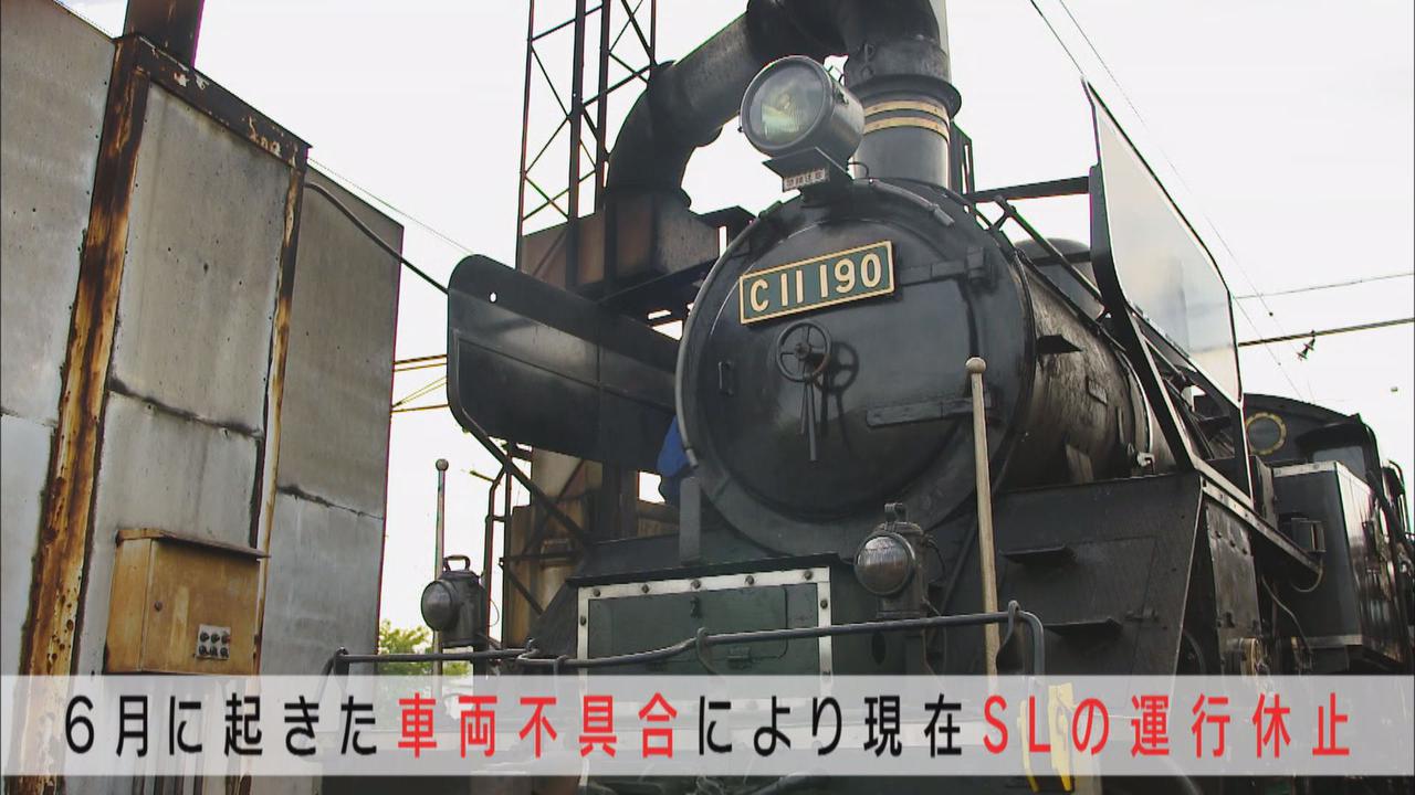 画像2: 新型コロナで打撃の大井川鉄道　25歳リーダーの再起にかける思いと行動力　静岡・島田市