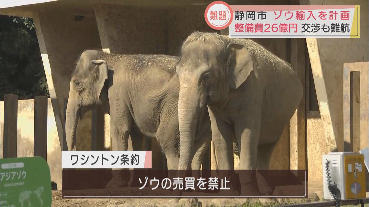 画像2: ゾウ4頭を輸入して環境を整えるのに26億円　静岡市