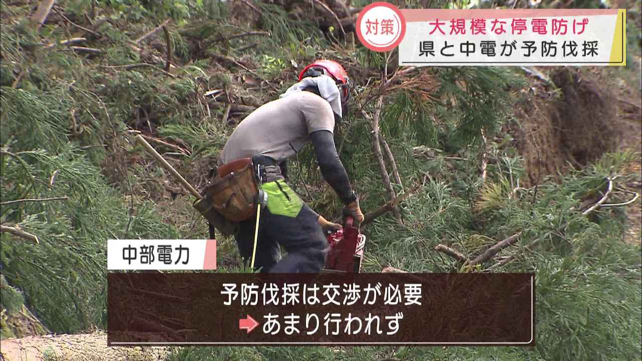 画像: 1週間近く続いた「電気がない生活」 停電の原因になる木を伐採 静岡県と中部電力 youtu.be