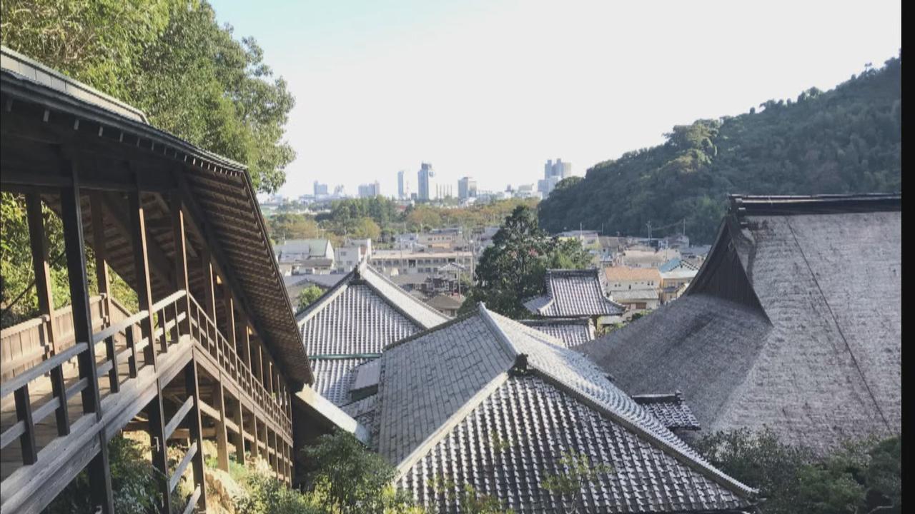 画像: 臨済寺から望む静岡市の市街地