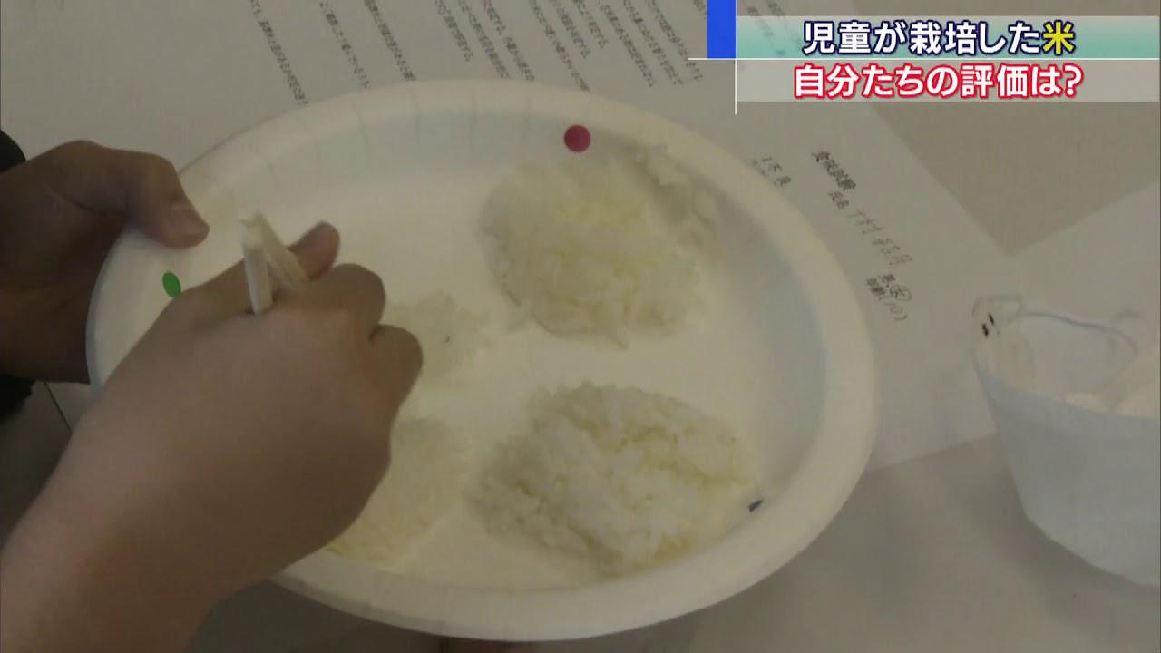 画像: 児童が栽培したお米を試食　静岡・南伊豆町 youtu.be