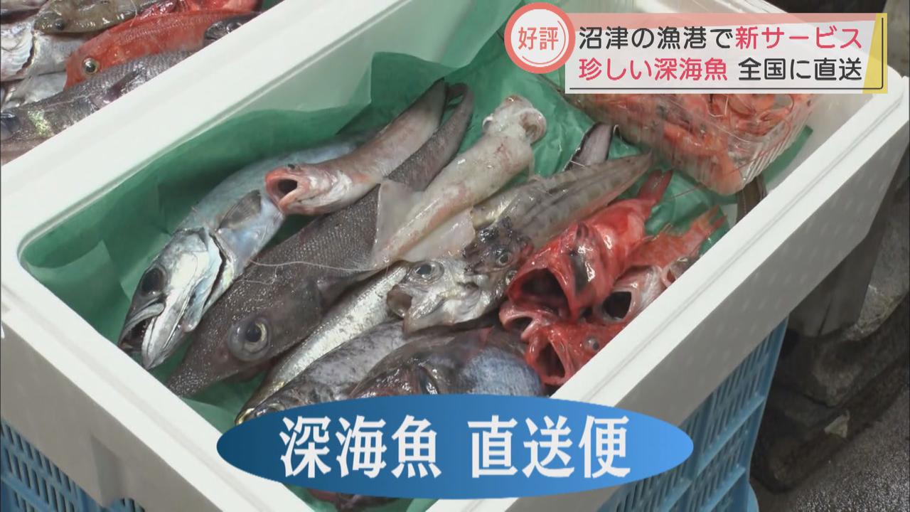 画像: コロナ禍で人気急上昇「深海魚直送便」が漁師を救う　戸田漁港