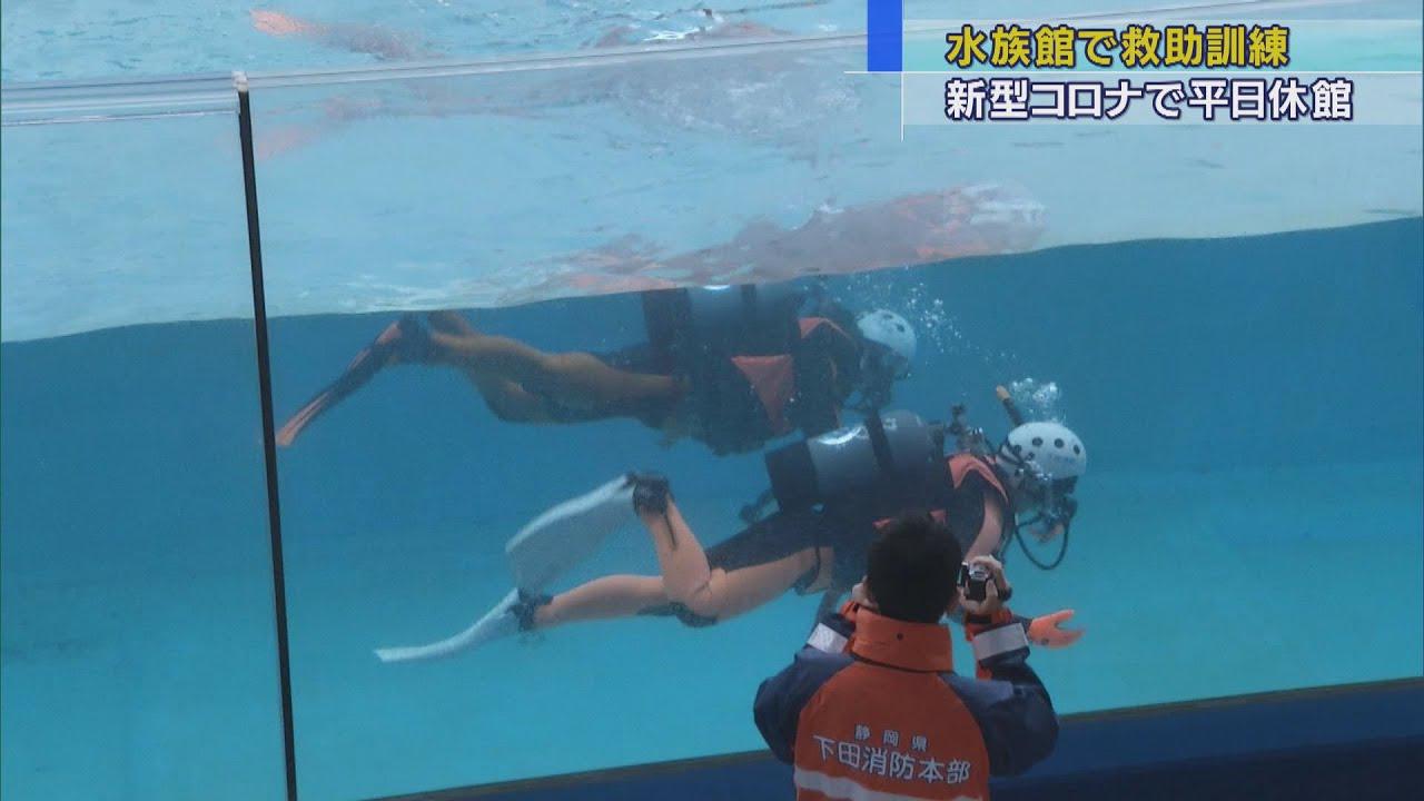 画像: イルカのショーのプールで水難救助訓練　静岡・下田市 youtu.be