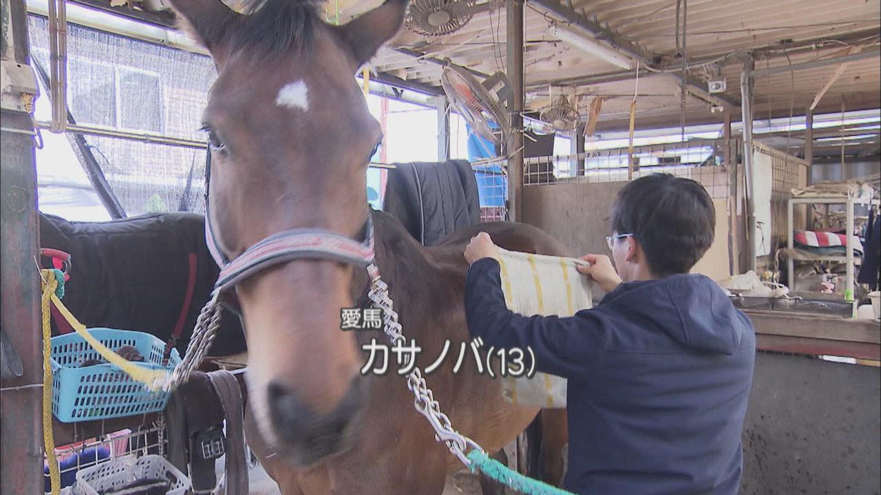 画像: 愛馬「カサノバ」の世話をする稲葉選手