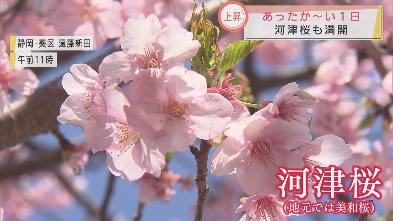 画像: 静岡県内各地で４月中旬から５月中旬並みの暖かさに youtu.be