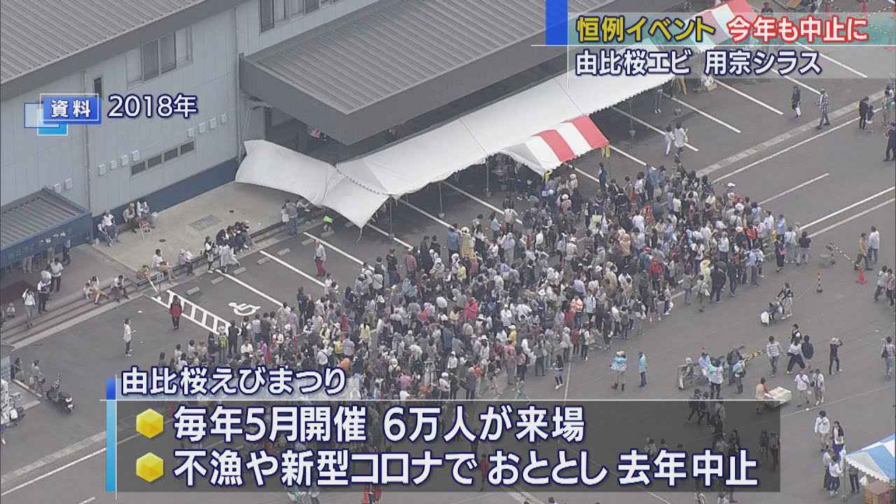 画像: 春の水産イベント中止が決定　由比桜えびまつり・用宗漁港まつり　静岡市 youtu.be