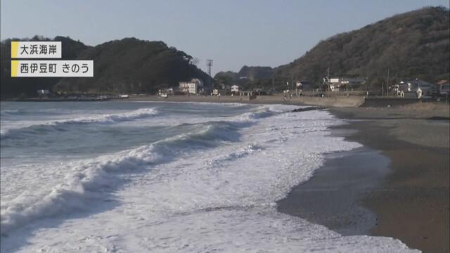 画像: イルカが打ち上げられた海岸