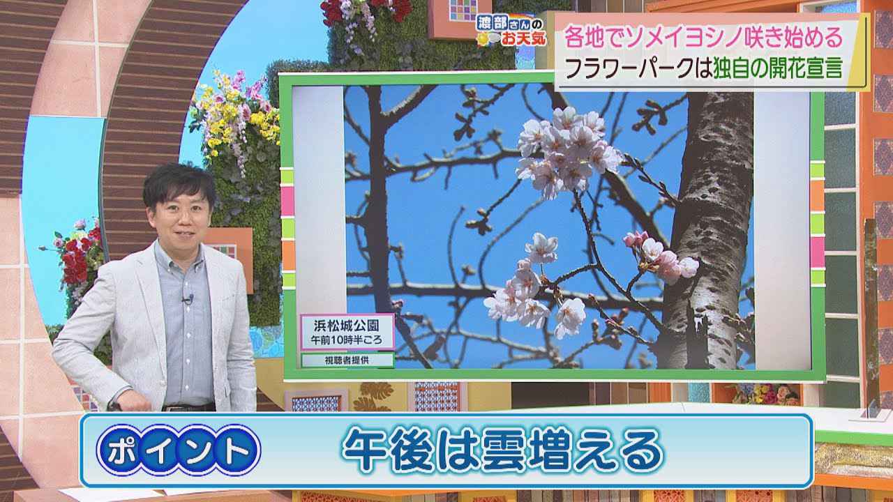 画像: 【静岡　３月１７日】渡部さんのお天気　浜松城公園で桜開花　あすは「午後は雲が増える」 youtu.be