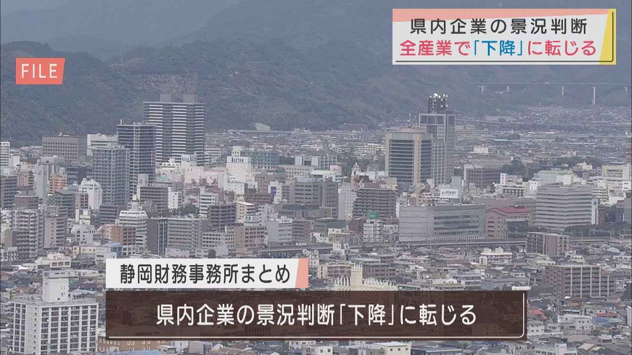 画像: 全産業で下降…製造業は今後マイナス幅拡大か　静岡県内企業の1-3月の景況判断 youtu.be