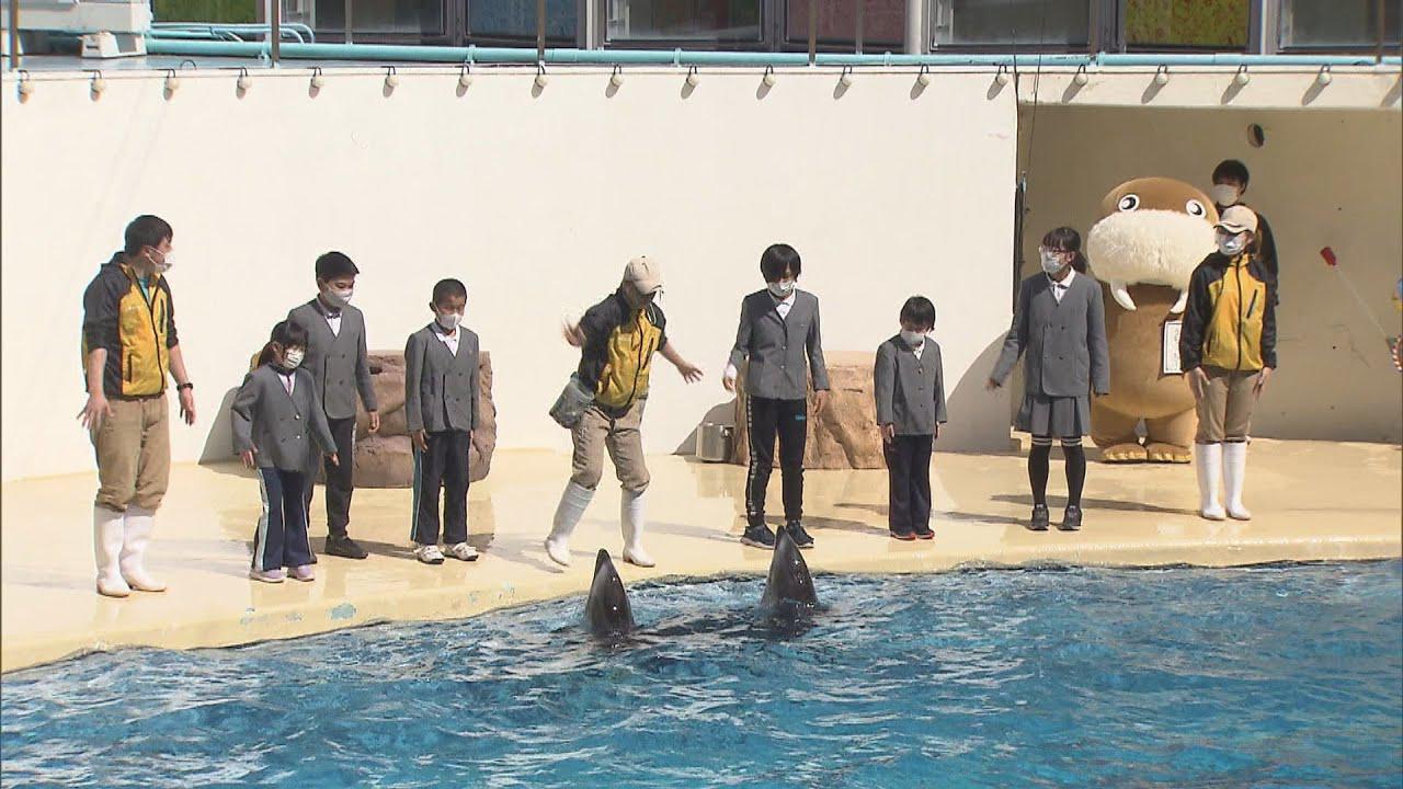 画像: 今年閉校の小学校の児童40人が最後の全校遠足　イルカのジャンプショーで与えられた役割は…　静岡・沼津市 youtu.be