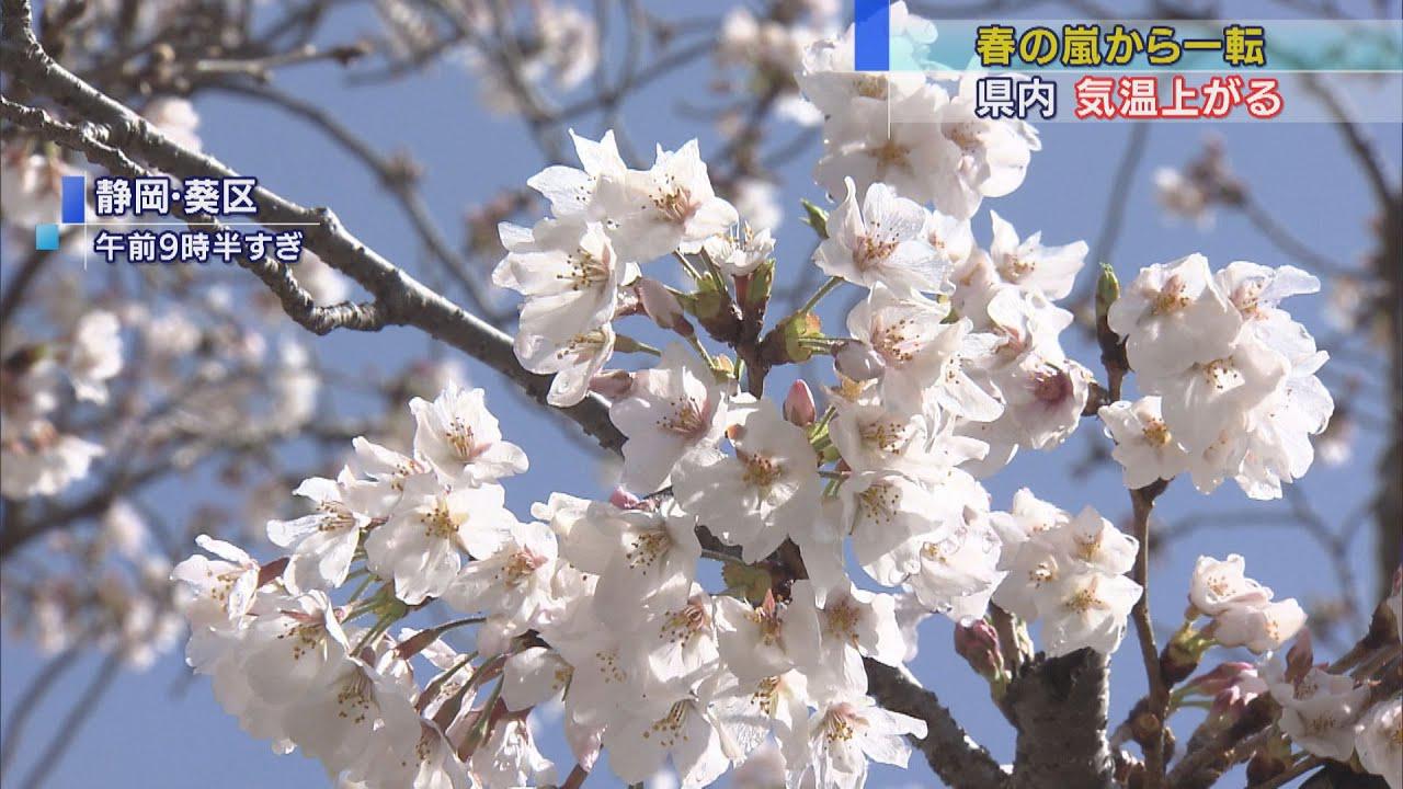 画像: 静岡と三島は２５度の夏日となる予想　昨夜の２４時間雨量は静岡・浜松で過去最大　静岡県/３月２９日 youtu.be