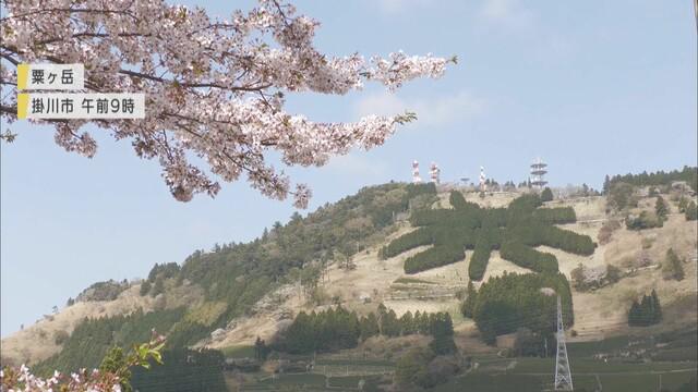 画像: 掛川市　粟ケ岳