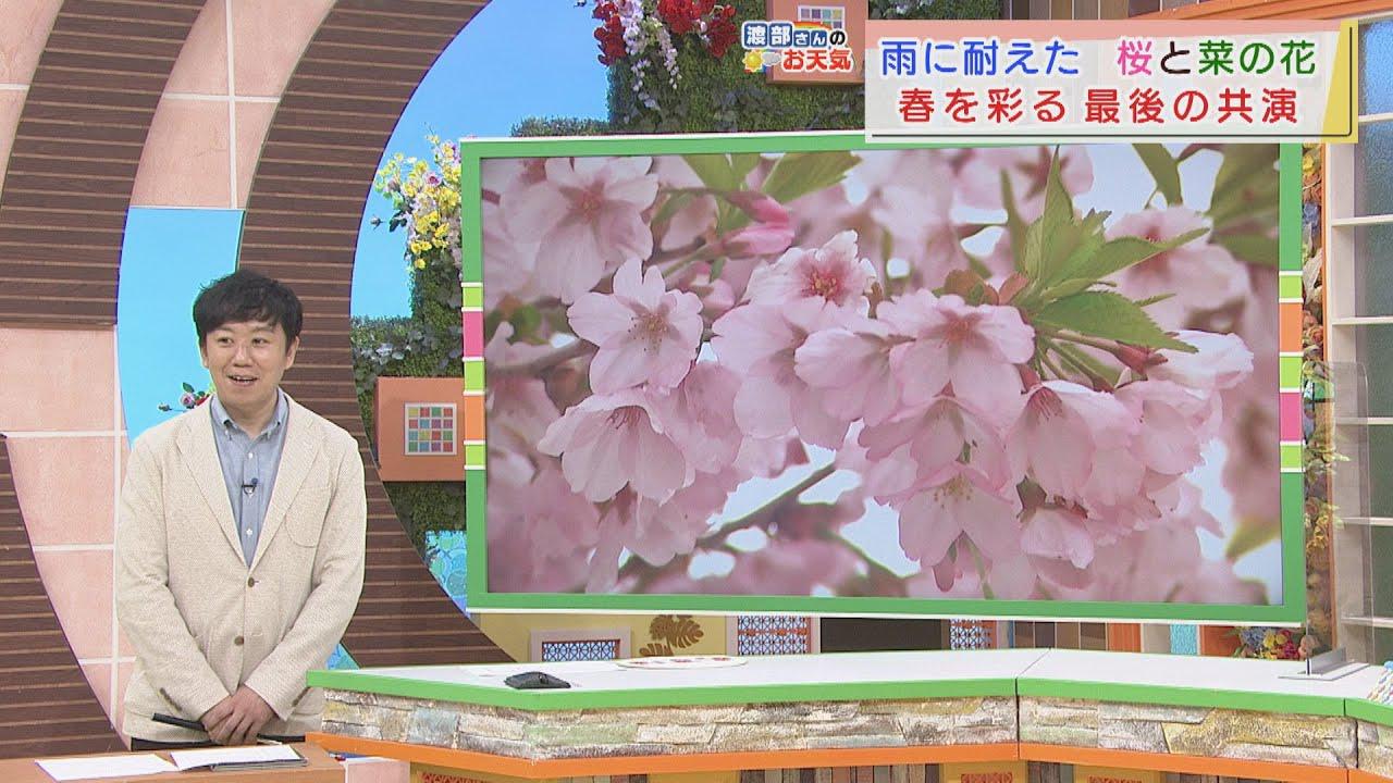 画像: 【4月6日　静岡】渡部さんのお天気　あすは「日差したっぷり」 youtu.be