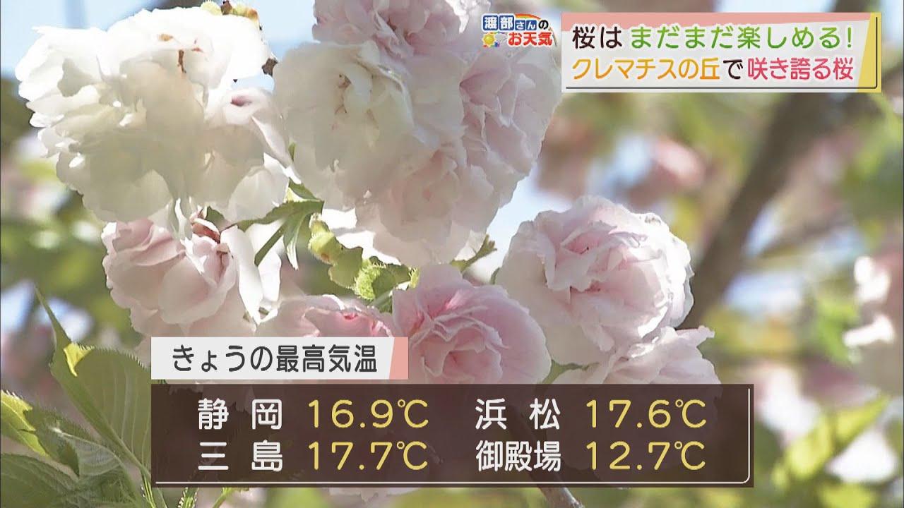 画像: 【4月6日　静岡】渡部さんのお天気　あすは「晴れても風はひんやり」 youtu.be
