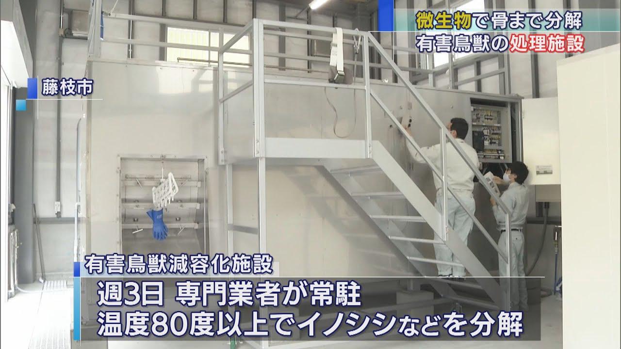 画像: 微生物活性化させ骨まで分解　イノシシなど有害鳥獣の処理施設の供用開始　静岡・藤枝市 youtu.be