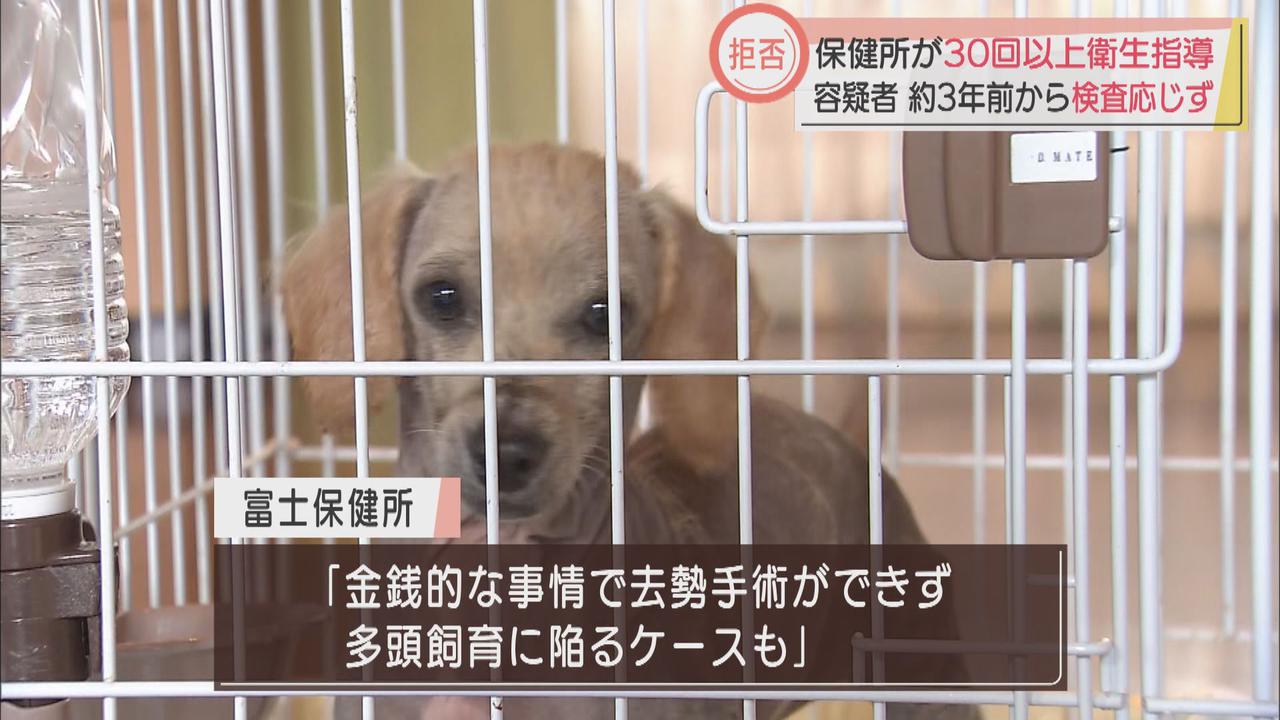 画像: 狭い場所で８５匹の犬を飼育…容疑者の女に保健所が３０回以上衛生指導　１６日には保護された犬の里親探す譲渡会も　静岡・富士市