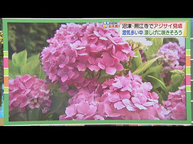 画像: 【5月24日　静岡】渡部さんのお天気　あすは「日差したっぷり」 youtu.be