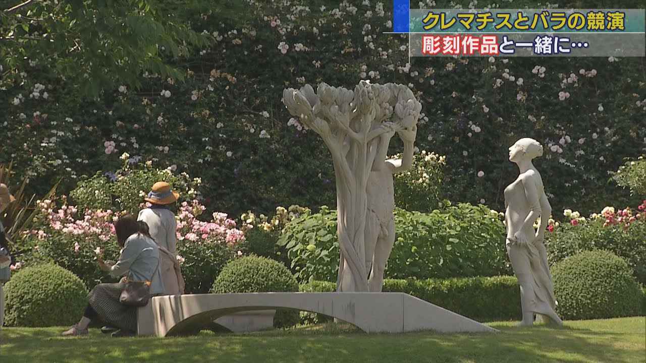 画像: クレマチスとバラ、それに彫刻の競演　ヴァンジ彫刻庭園美術館　静岡・長泉町 youtu.be