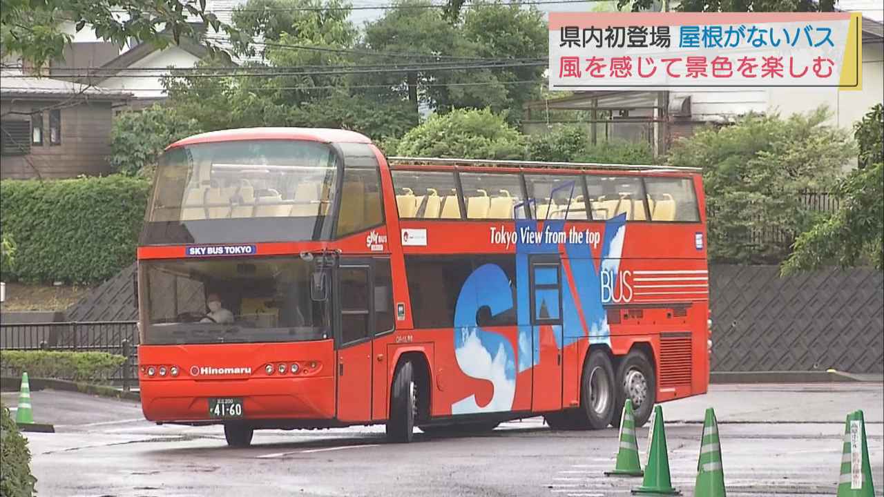 画像: 風を感じながら景色を楽しむ「スカイバス」で、静岡県内を巡るツアー