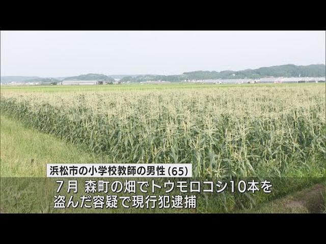 画像: 野菜を盗んだ容疑で逮捕の小学校教師　停職処分受け依願退職　浜松市 youtu.be