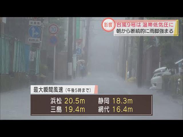 画像: 台風９号から変わった温帯低気圧の影響で荒れた天気に　１０日には日差し戻るも強風と高波続く予想　静岡県 youtu.be