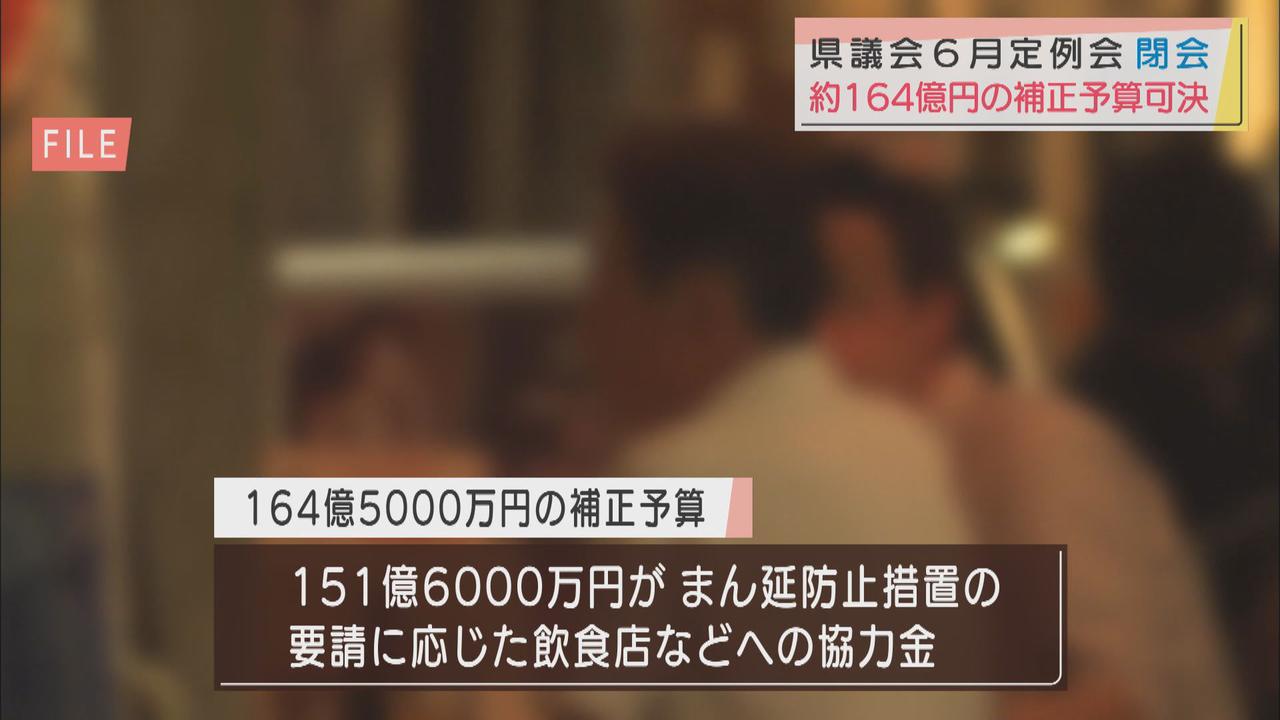 画像: 静岡県議会　コロナ対策１６４億５０００万円の補正予算案可決