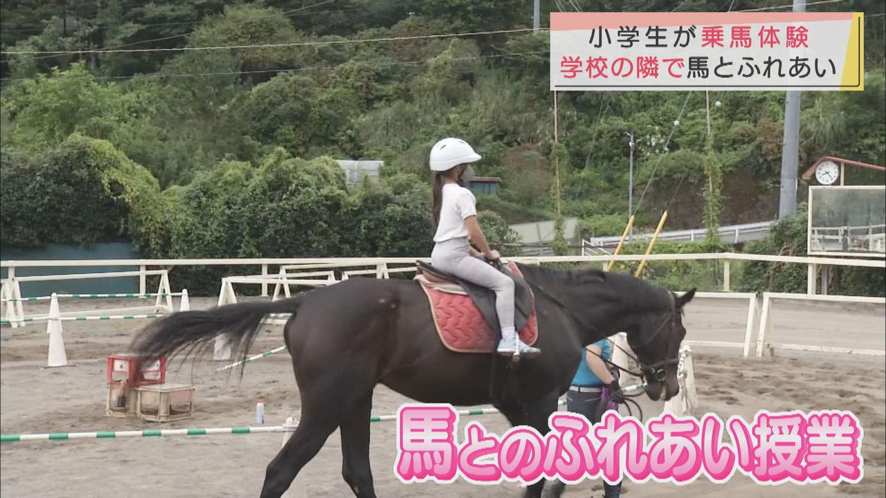 画像: 「ドキドキした」小学生が乗馬体験　静岡・河津町