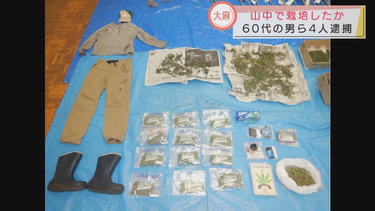 画像: 山中で大麻栽培　６０代の男ら４人逮捕　静岡・富士宮市