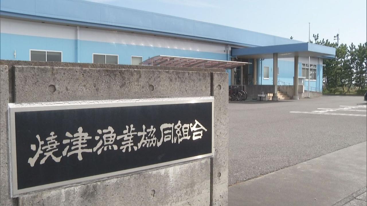 画像: 焼津漁協の職員ら　2月にもカツオ窃盗か　警察が再逮捕の方針固める　静岡県警