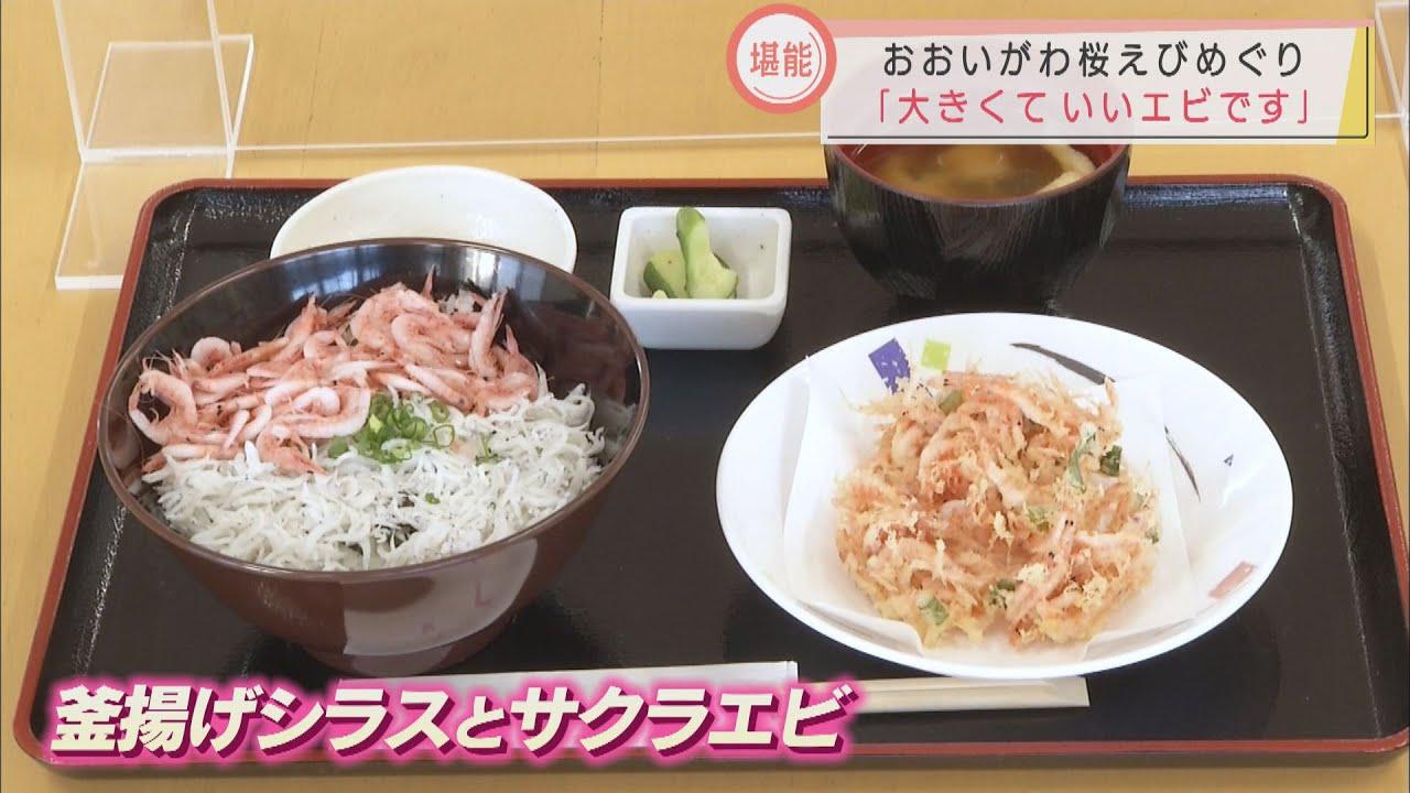 画像: サクラエビたっぷりの「大井川みなと丼」はいかが？　静岡・焼津市「おおいがわ桜えびめぐり」は12月19日まで youtu.be
