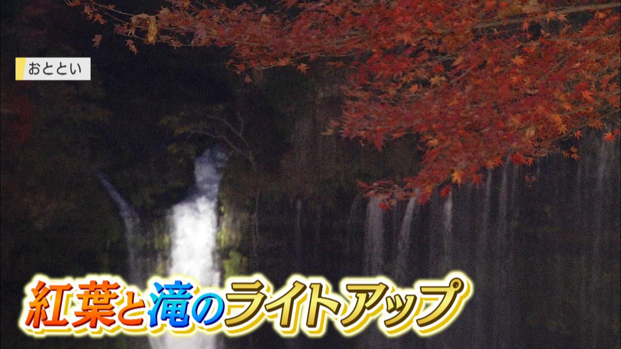 画像2: 白糸の滝で紅葉見ごろ　団体客も回復傾向　静岡県富士宮市