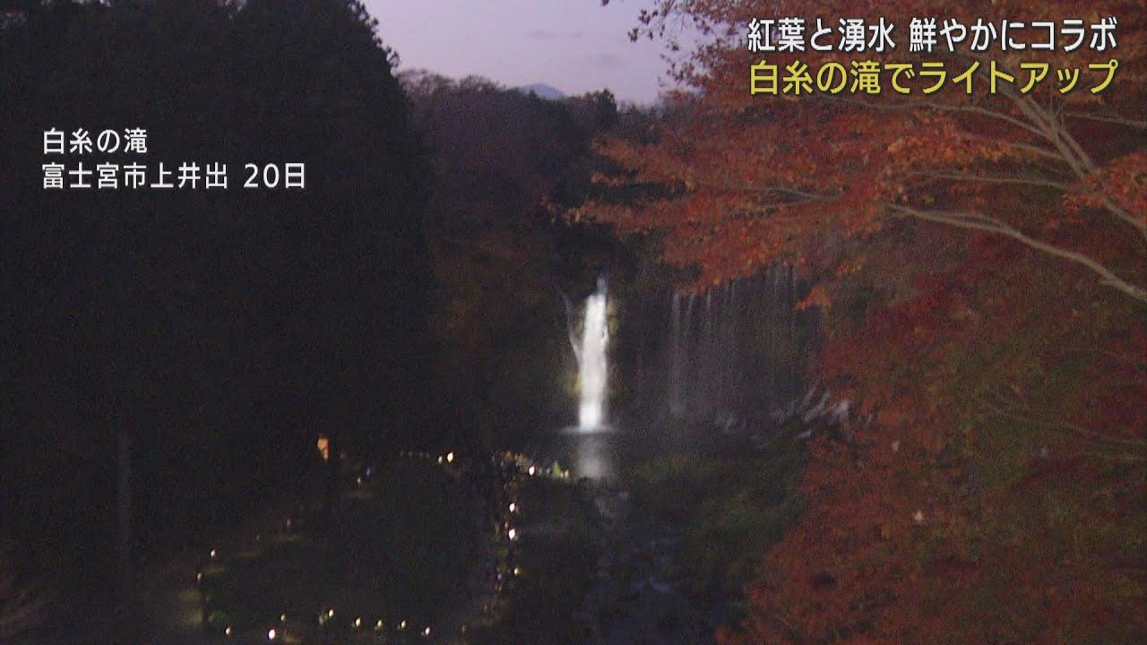 画像: 紅葉と湧水のコラボ　「白糸の滝」でライトアップ　静岡・富士宮市 youtu.be