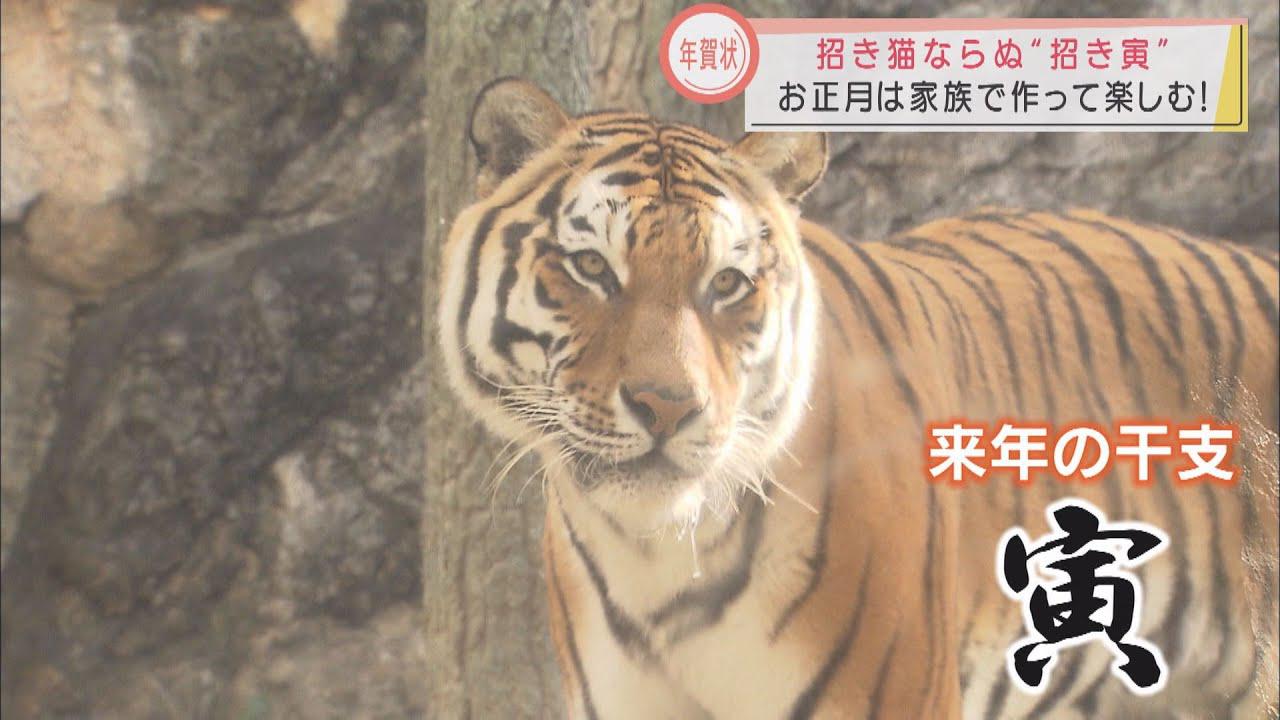 画像: 作って楽しむ？動画を送る？　今年はアイデア満載の年賀状に“トラ”イ　静岡市 youtu.be