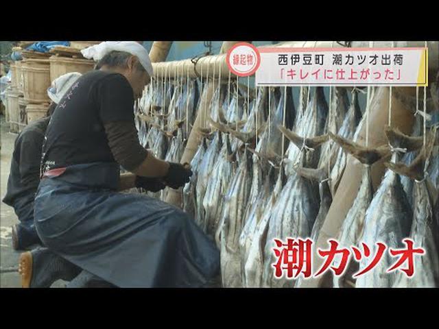 画像: 別名「正月魚」…伝統食「潮カツオ」出荷始まる　静岡・西伊豆町 youtu.be