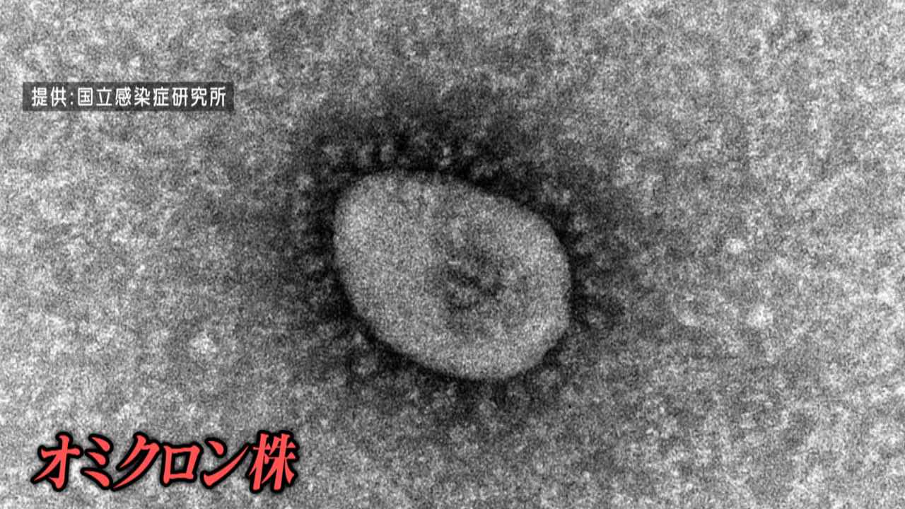 画像2: 静岡県内の感染者「下降傾向」　小学校クラスター相次ぎ発生も落ち着き取り戻す