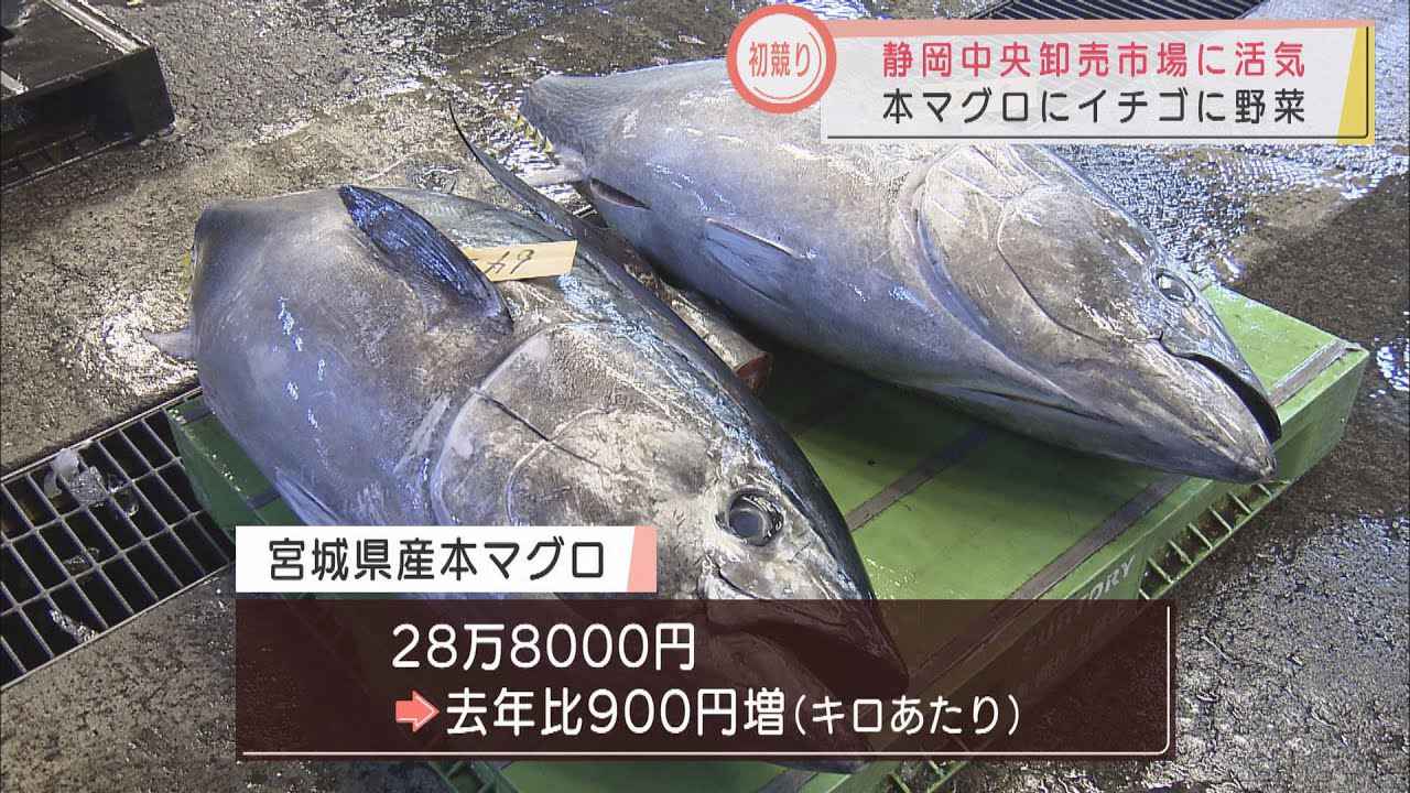 画像: 静岡市中央卸売市場で活況の初取引　マグロは去年よりも高値　野菜は値上がりと値下がりの明暗 youtu.be