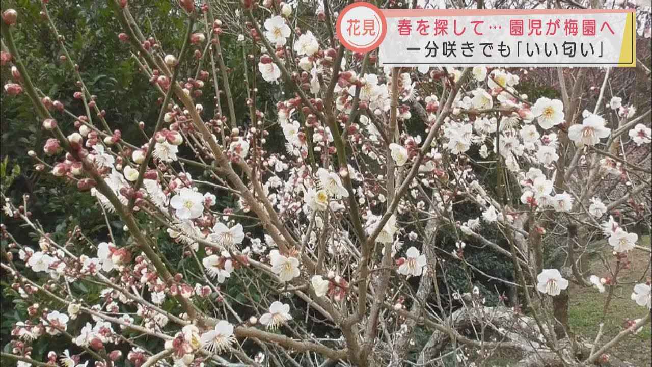 画像: 「甘くていい匂い…」　保育園児が一足早く梅園でお花見　静岡・牧之原市 youtu.be