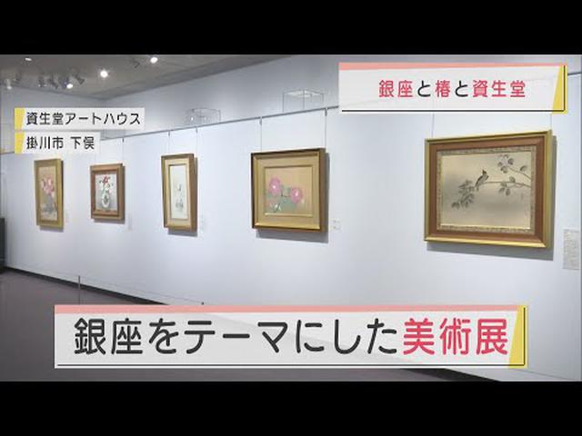 画像: 銀座の光景と椿の花をテーマにした美術展　静岡・掛川市 youtu.be