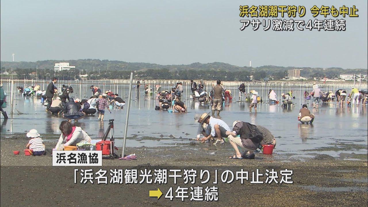 画像: 浜名湖の潮干狩り今年も中止　アサリ不漁続き漁獲量3年連続で過去最低に　静岡県 youtu.be