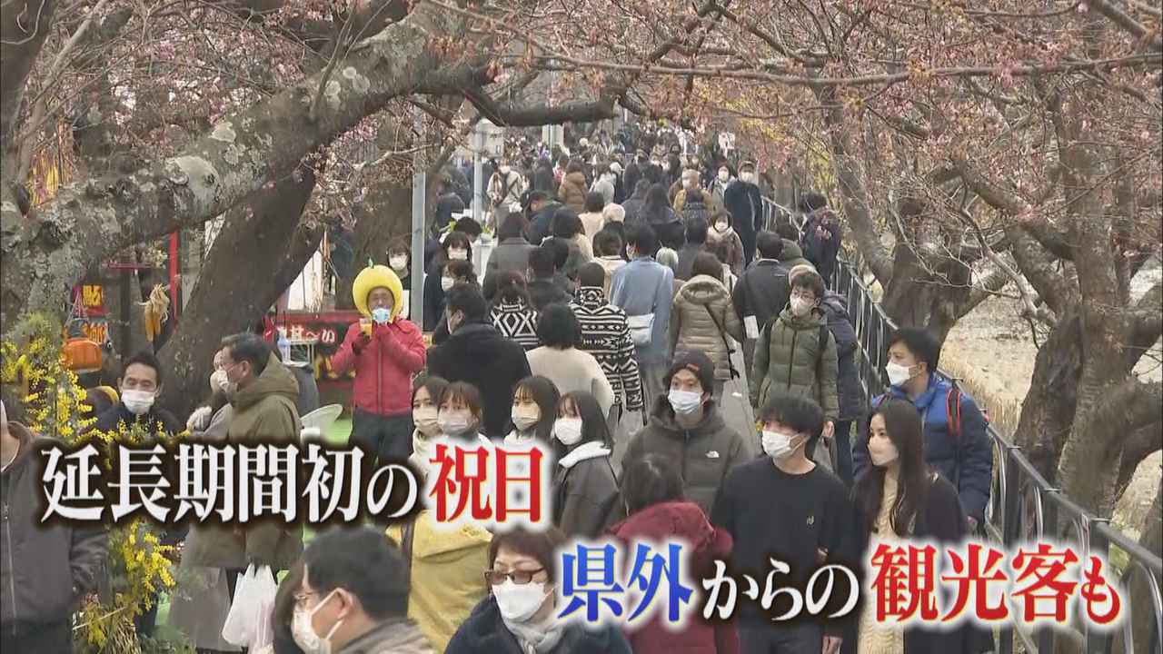 画像: ４キロにわたって８５０本の桜…首都圏からも観光客