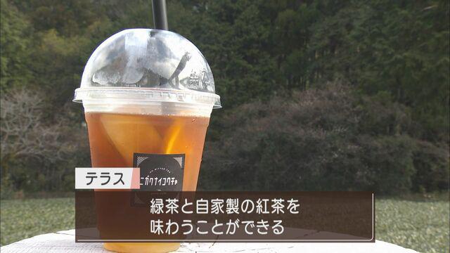 画像: 緑茶も、紅茶も　お茶農家の挑戦