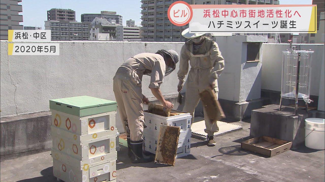 画像: ビルの屋上で採れたハチミツ　人気パティスリーやレスランで新スイーツが誕生　浜松市で期間限定販売 youtu.be