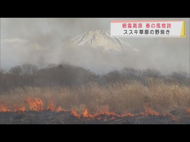 画像: 富士山を背景に燃え広がる炎…朝霧高原で春の風物詩ススキ草原の野焼き作業　静岡・富士宮市 youtu.be