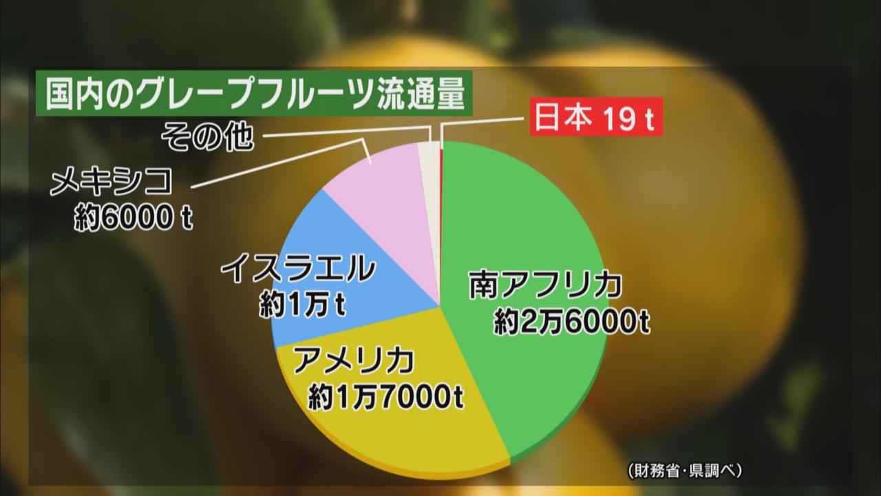 画像: 国産グレープフルーツは０．１％以下