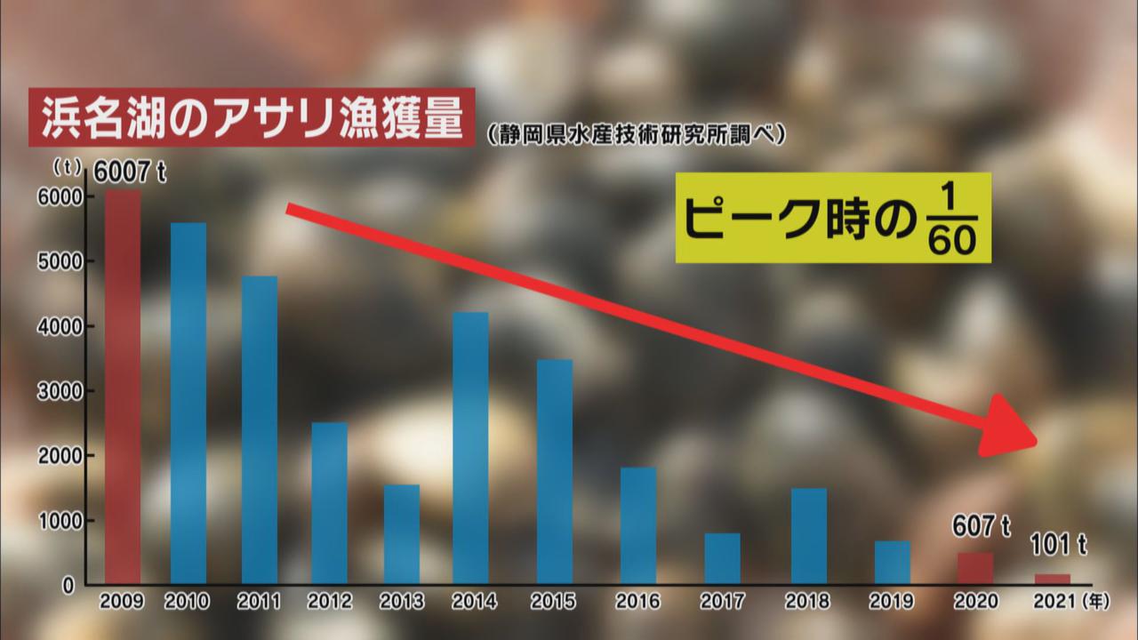 画像3: 漁獲量がピーク時の６０分の１に