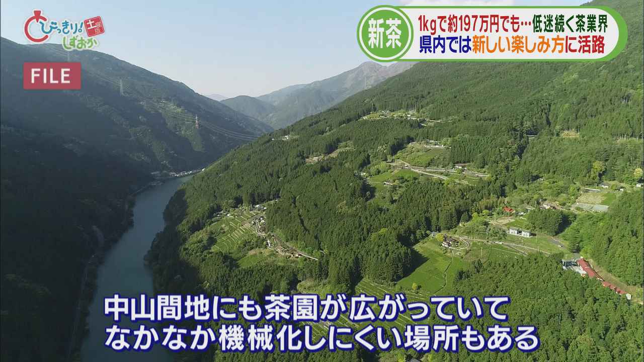 画像: 鹿児島は機械化　静岡は機械化しにくい場所も