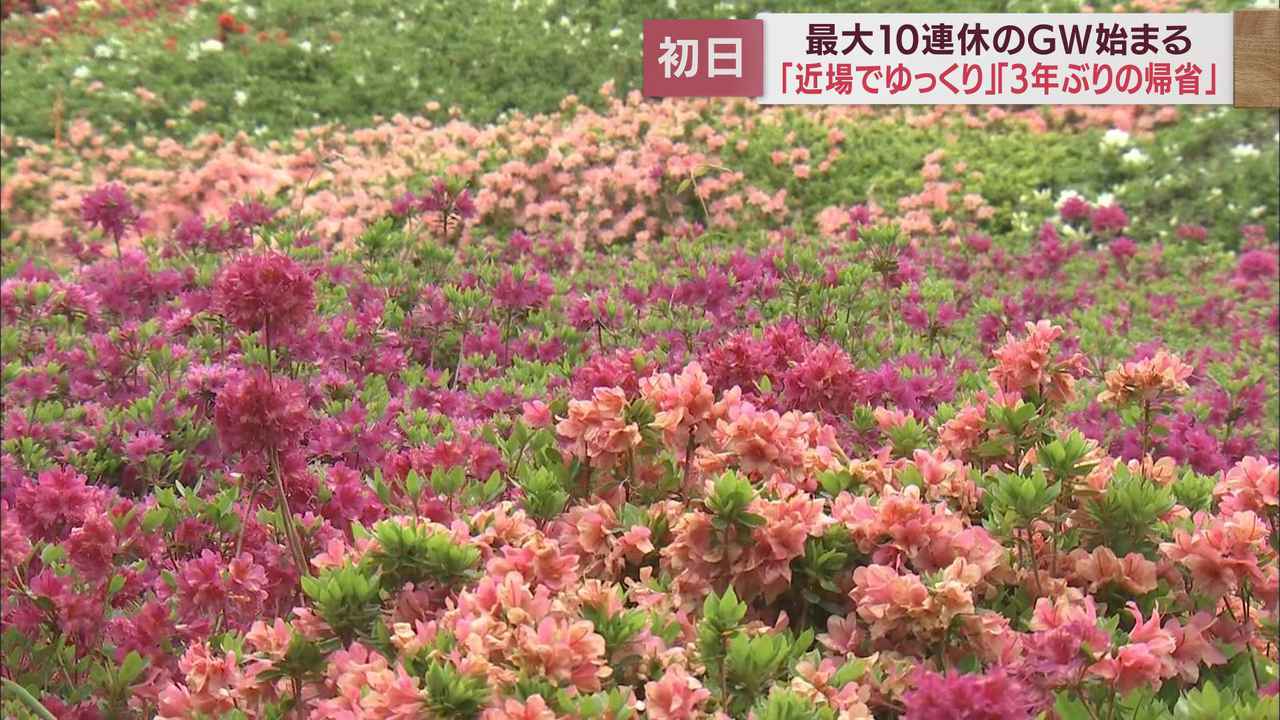 画像: 熱海市の公園では「花まつり」がスタート