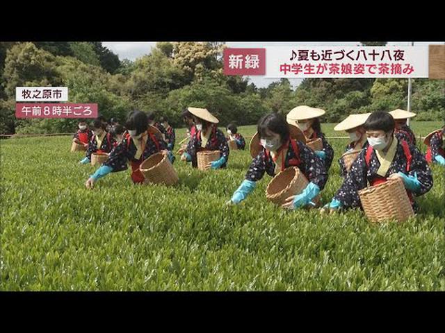 画像: 八十八夜の伝統行事　茶娘・茶息子姿の中学生が新茶の摘み取り　静岡・牧之原市 youtu.be