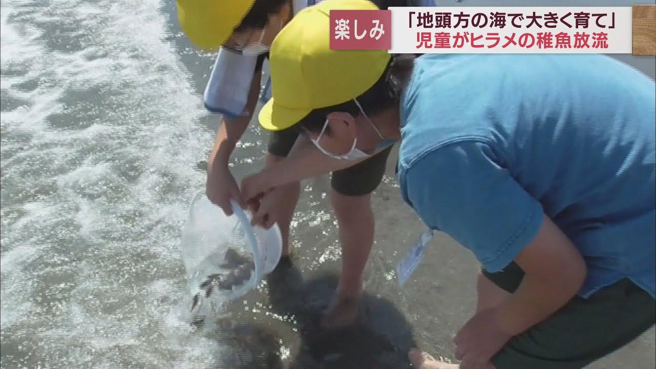 画像: 「元気に育ってね」　小学生がヒラメの稚魚3万5000匹を放流　静岡・牧之原市 youtu.be